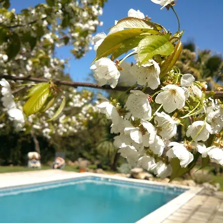 Casa rural Mas Martis Seriñá