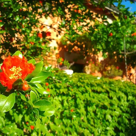 Mas Martis Casa rural *