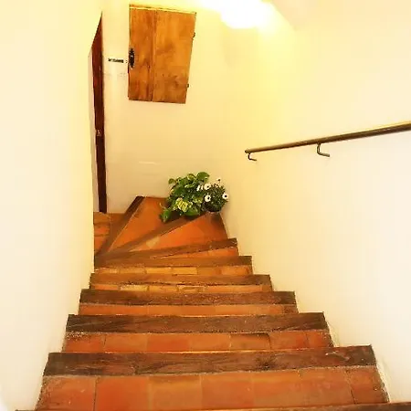 Casa rural Mas Martis